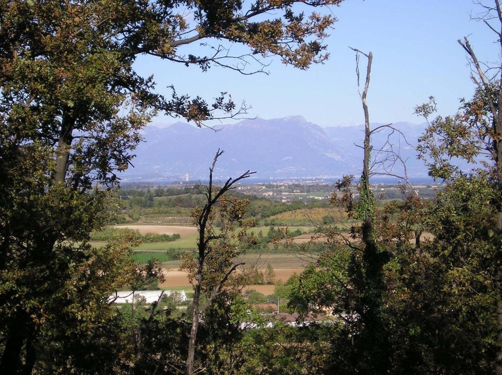 Agriturismo Dondino Cavriana Exteriér fotografie