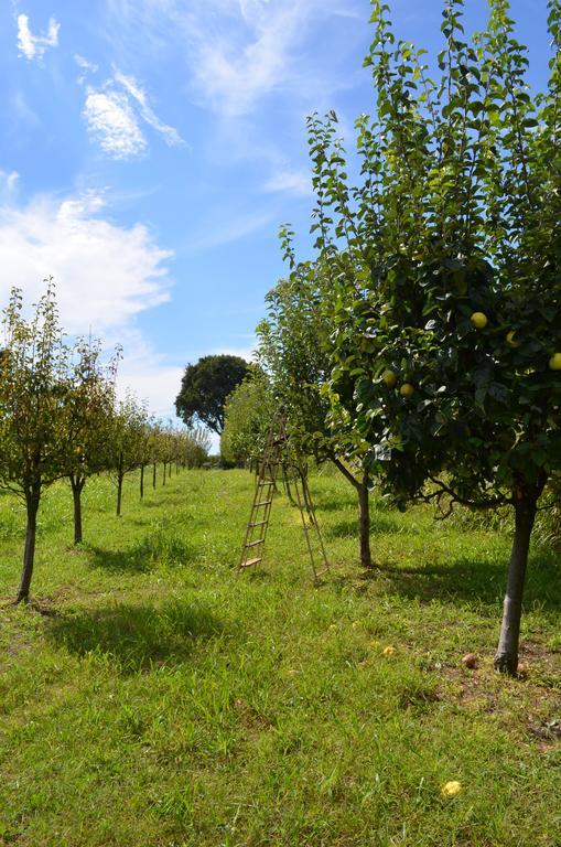 Agriturismo Dondino Cavriana Exteriér fotografie